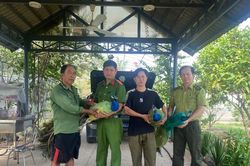 Công an xã vận động người dân tự nguyện giao nộp 9 cá thể công quý hiếm