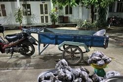 Bắt quả tang người đàn ông vận chuyển gần 1,3 tạ động vật hoang dã