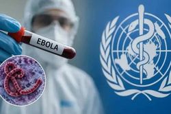 Bộ Y tế khuyến cáo người dân hạn chế đến vùng dịch Ebola