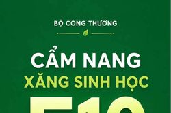 Cẩm nang sử dụng xăng sinh học E10