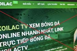 Đẩy lùi vi phạm bản quyền trên không gian mạng