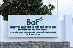 BaF Việt Nam (BAF) dự phát hành hơn 60 triệu cổ phiếu cho cổ đông, nâng vốn điều lệ lên 3.648 tỷ đồng