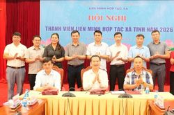Hội nghị thành viên Liên minh Hợp tác xã tỉnh năm 2026
