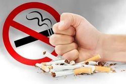 Kiện toàn Ban Chỉ đạo của Bộ Xây dựng về phòng, chống tác hại thuốc lá