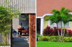 Người xưa dặn: 3 cây trồng trước nhà tiền tài tiêu tán, đem trồng sau nhà con cháu đời đời ấm no