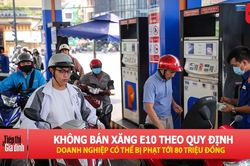 Từ 1/6, vi phạm lộ trình kinh doanh xăng E10 sẽ bị xử phạt nặng