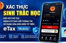 Hướng dẫn x&aacute;c thực sinh trắc học tr&ecirc;n ứng dụng Etax Mobile