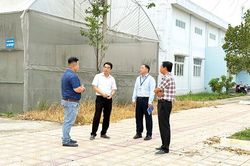 Chế biến tro xỉ r&aacute;c th&agrave;nh gạch l&aacute;t: Hướng nghi&ecirc;n cứu ứng dụng hiệu quả