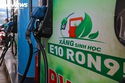 Xăng sinh học E10 khác gì xăng khoáng RON95?