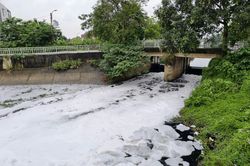 Bắc Ninh xử lý dứt điểm ô nhiễm kênh Kim Đôi, xem xét khởi tố đơn vị xả thải