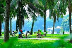 Hà Nội mở rộng không gian xanh – kiến tạo 'thành phố hạnh phúc'