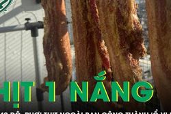 Nắng nóng 40 độ, thịt phơi ngoài ban công thành 'ổ vi khuẩn' gây nguy cơ ngộ độc