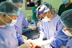 100 ca gh&eacute;p gan th&agrave;nh c&ocirc;ng: Dấu mốc khẳng định vị thế gh&eacute;p tạng nhi khoa Việt Nam
