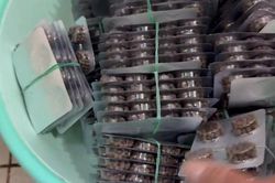 Công an TPHCM triệt phá đường dây sản xuất, buôn bán thuốc đông dược trái phép quy mô lớn