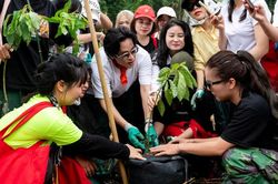 Hà Anh Tuấn và dàn nghệ sĩ Forestival 2026 cùng hành động bảo tồn di sản