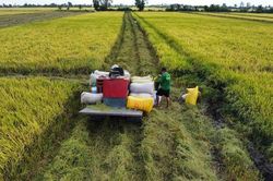 Để ĐBSCL chuyển mình, phải có 'doanh nghiệp dẫn dắt doanh nghiệp'