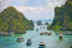Quảng Ninh xử lý tàu cá neo đậu sai quy định trên vịnh Hạ Long