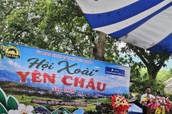Sơn La: Khai mạc Hội xoài Yên Châu năm 2026