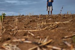El Nino 2026 có thể mạnh nhất lịch sử