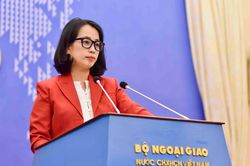 Việt Nam phản hồi việc Mỹ điều tra vấn đề sở hữu trí tuệ