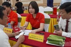 Kinh tế tập thể - 'bà đỡ' cho người nông dân trong thời kỳ mới