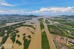 An Giang ra quân cao điểm 90 ngày thiết lập kỷ cương đất đai và trật tự đô thị