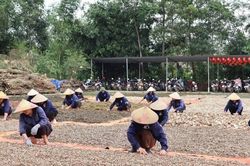 Hợp tác xã chung tay gìn giữ nguồn gene dược liệu quý