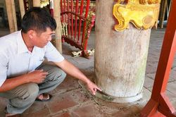 Tin mới vụ đình cổ chờ sập, dân làng dùng tre luồng chống đỡ