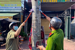 TP Hồ Chí Minh quyết liệt xử lý 'quảng cáo bẩn'