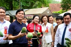 Tưng bừng Ngày hội xoài Yên Châu 2026