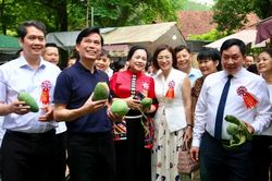 Tưng bừng Ngày hội xoài Yên Châu 2026