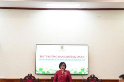 Sẽ thí điểm mô hình soạn thảo văn bản tập trung, chuyên nghiệp