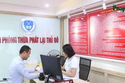 Người đã từng là Chấp hành viên được bổ nhiệm không qua kiểm tra kết quả tập sự hành nghề Thừa hành viên