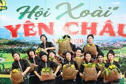 Hội xoài Yên Châu tôn vinh người trồng xoài