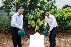 Tổng Bí thư, Chủ tịch nước Tô Lâm trồng cây trong khu vườn nổi tiếng của Singapore