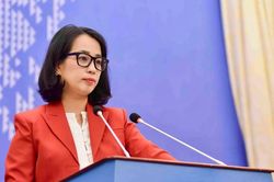 Việt Nam lên tiếng việc Mỹ khởi xướng điều tra về sở hữu trí tuệ