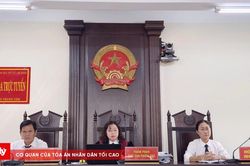 Đất đã được Tòa án xác định quyền sử dụng, người thứ ba có được khởi kiện?