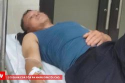 Nghi ngộ độc do ăn bọ xít, 6 người nhập viện cấp cứu