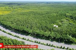 Tuyến đường sắt Bến Thành - Cần Giờ tiến thêm một bước