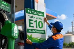 Chỉ đạo mới nhất của Bộ Công Thương về bán xăng E10 trên toàn quốc