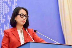 Việt Nam l&ecirc;n tiếng trước việc Mỹ khởi động điều tra về sở hữu tr&iacute; tuệ