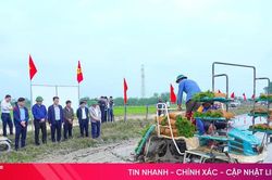 Hành trình xanh từ gia đình đến cộng đồng