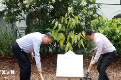 Tổng Bí thư, Chủ tịch nước và Thủ tướng Singapore dự Lễ trồng cây