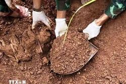Quảng Ninh đẩy mạnh chiến dịch tìm kiếm, xác định danh tính hài cốt liệt sỹ