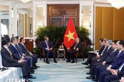Tổng Bí thư, Chủ tịch nước tiếp lãnh đạo một số doanh nghiệp lớn của Singapore