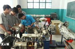 Đột phá từ Nghị quyết 71: Đổi mới tư duy về hướng nghiệp sớm