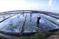 Kinh tế tư nhân chuyển biến tích cực về quy mô, chất lượng và niềm tin phát triển