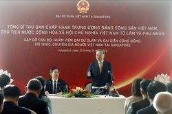 Cộng đồng người Việt Nam tại Singapore tiếp tục là cầu nối thúc đẩy quan hệ hữu nghị giữa hai nước