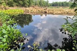 Sông Vàm Cỏ Đông đổi màu đen: Điều gì đang xảy ra?