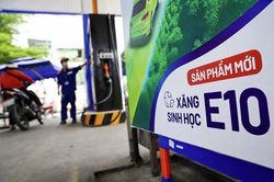 Vĩnh Long tăng giám sát thị trường trước triển khai đồng loạt xăng E10